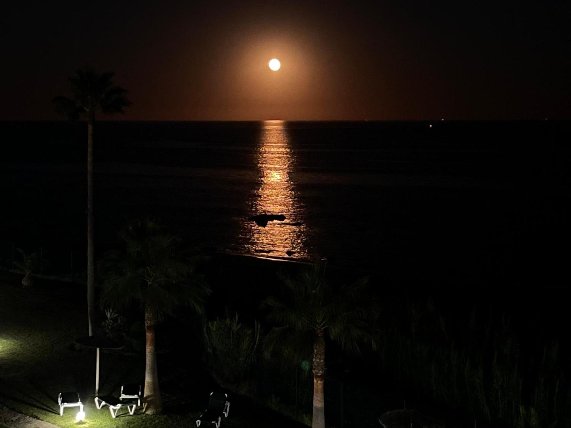 Exclusive Luxury Frontline Beach Penthouse Casares Del Mar - Estepona מראה חיצוני תמונה